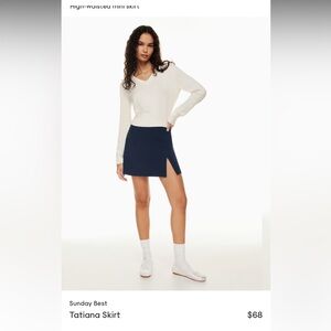 Aritzia Mini Skirt